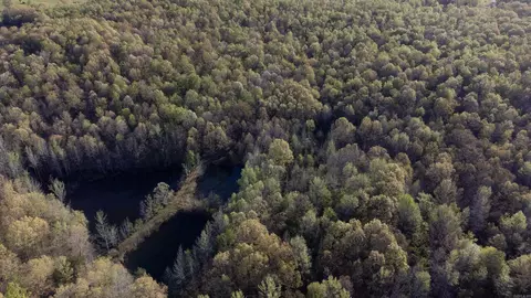 000 Carmickle Rd, Maynard, AR 72444 photo 7
