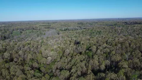000 Carmickle Rd, Maynard, AR 72444 photo 8