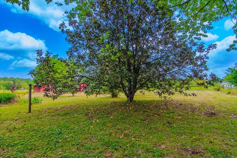 10906 W Cenntennial Rd, Cabot, AR 72023 photo 29
