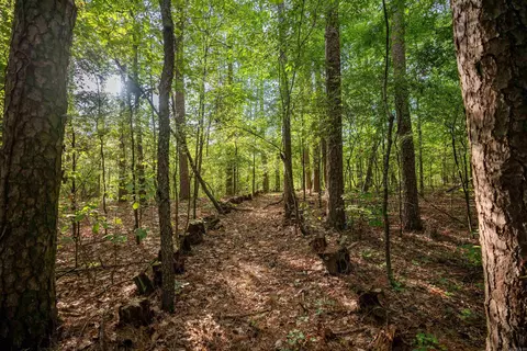 49 Eaton Dr, Drasco, AR 72530 photo 8