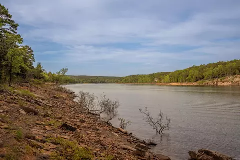 49 Eaton Dr, Drasco, AR 72530 photo 9