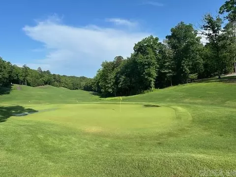 Nina Drive, Hot Springs Village, AR 71909