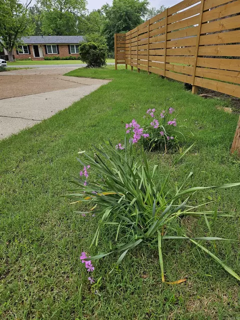 Other - 12 Marshall Dr, Searcy, AR 72143 photo 8 of 8