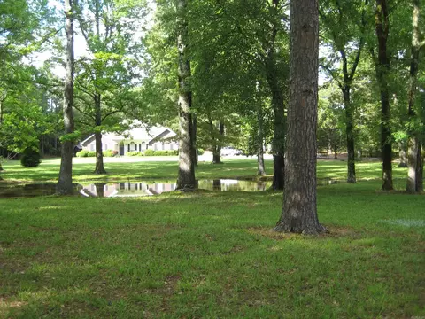 267 Polk Road 53, Mena, AR 71953 photo 46
