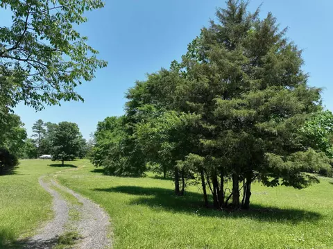 135 Liberty Ln, Mena, AR 71953 photo 10