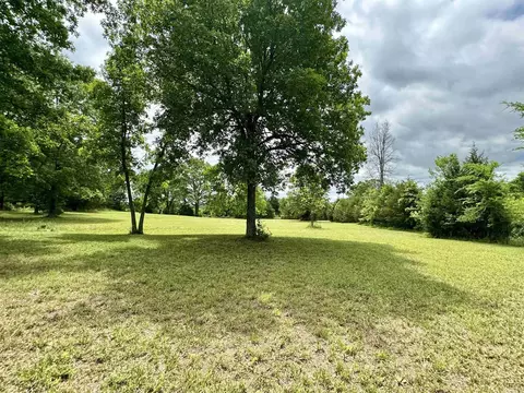 1228 Bennett Rd, Ash Flat, AR 72513 photo 41