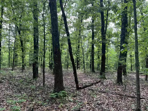 8 72 Acres On Meadow Creek Dr, Harrison, AR 72601