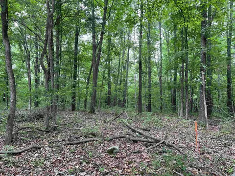 6 Acres On Meadow Creek Dr, Harrison, AR 72601 photo 2