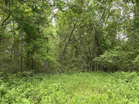 6 Acres On Meadow Creek Dr, Harrison, AR 72601 photo 3