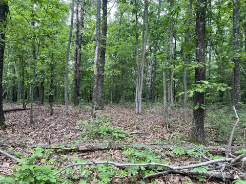 6 Acres On Meadow Creek Dr, Harrison, AR 72601