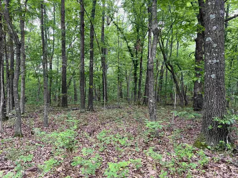 12 Acres On Meadow Creek Dr, Harrison, AR 72601