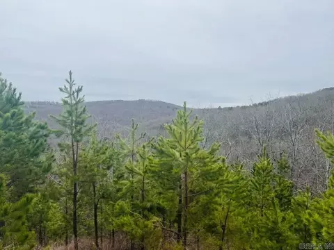 Dodd Mountain Road, Clinton, AR 72031
