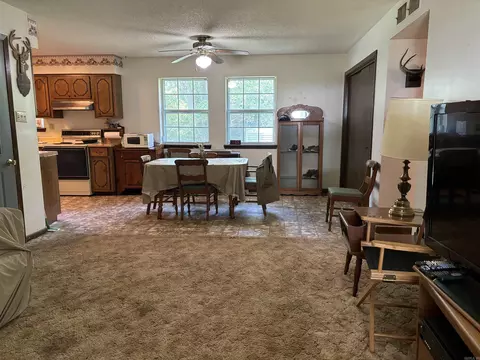 142 Sara Cir, Ash Flat, AR 72513 photo 8