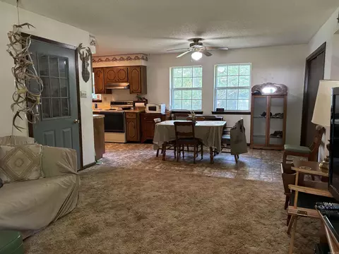 142 Sara Cir, Ash Flat, AR 72513 photo 7