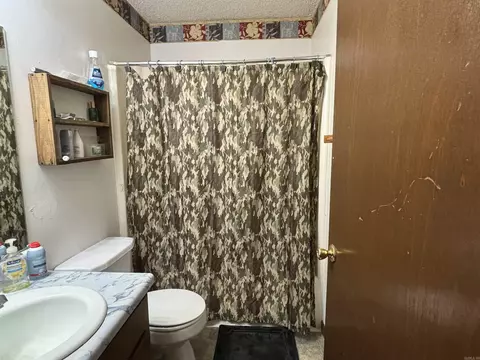 142 Sara Cir, Ash Flat, AR 72513 photo 18