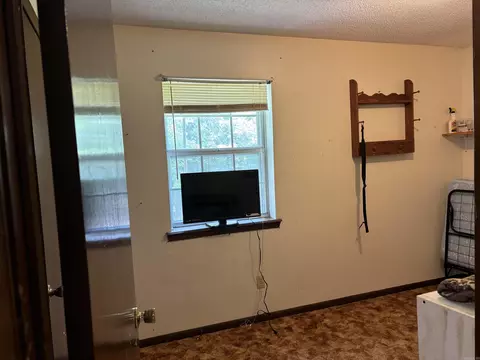 142 Sara Cir, Ash Flat, AR 72513 photo 20