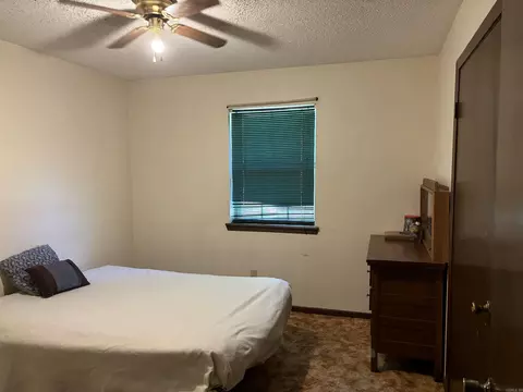 142 Sara Cir, Ash Flat, AR 72513 photo 27