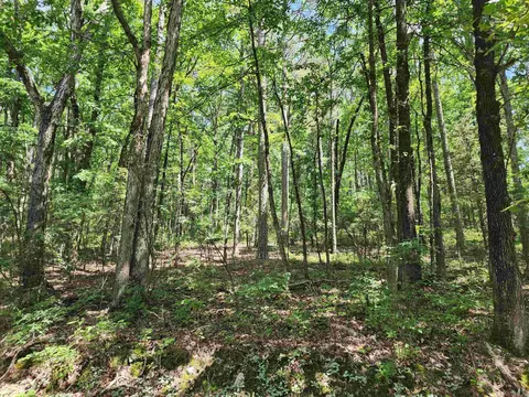 12 Belmonte Ln, Hot Springs Village, AR 71901