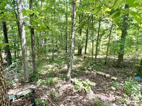 394 Helms Rd, Mountain View, AR 72560 photo 8