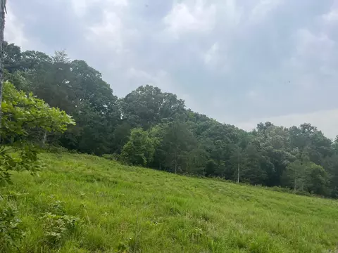 10 N Otho Lane Ln, Calico Rock, AR 72519