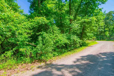 22082 Nelson Rd, Paron, AR 72122 photo 37