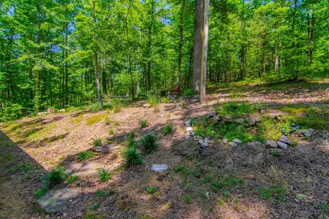 22082 Nelson Rd, Paron, AR 72122 photo 29