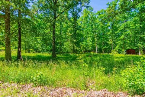 22082 Nelson Rd, Paron, AR 72122 photo 34
