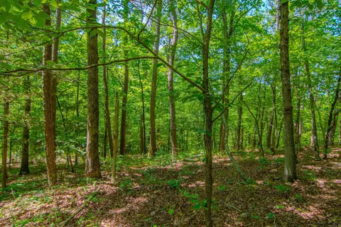 22082 Nelson Rd, Paron, AR 72122 photo 27
