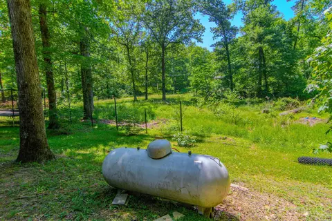 22082 Nelson Rd, Paron, AR 72122 photo 22