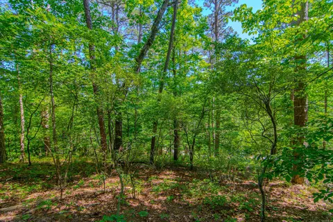 22082 Nelson Rd, Paron, AR 72122 photo 28