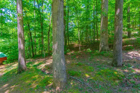 22082 Nelson Rd, Paron, AR 72122 photo 26