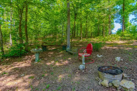 22082 Nelson Rd, Paron, AR 72122 photo 25