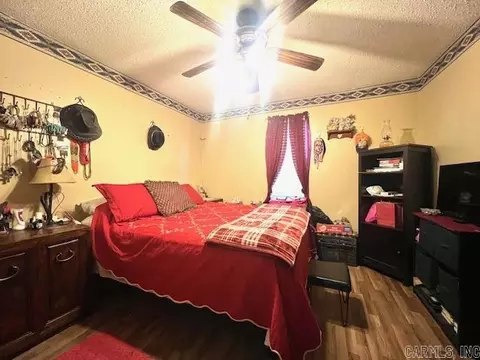 130 Sycamore, Trumann, AR 72472 photo 11