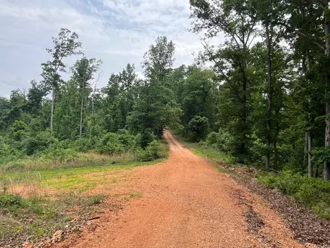 80 S Greasy Bottom Rd, Melbourne, AR 72556