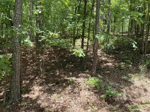 lot2 Howard Rd, Higden, AR 72067 photo 2