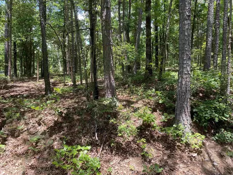 lot3 Howard Rd, Higden, AR 72067