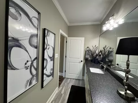 Bath - 164 Madison Ln, Austin, AR 72007 photo 6 of 10