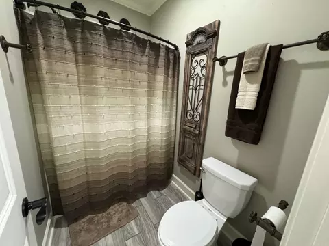 Bath - 164 Madison Ln, Austin, AR 72007 photo 3 of 10