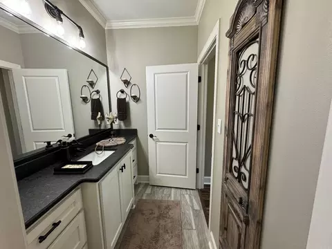 Bath - 164 Madison Ln, Austin, AR 72007 photo 2 of 10