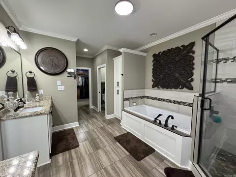 Bath - 164 Madison Ln, Austin, AR 72007 photo 8 of 10