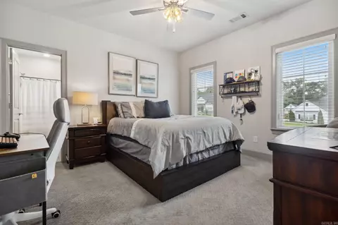 Bedroom - 4073 Vineyard Way, Alexander, AR 72002 photo 4 of 5