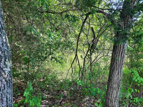 000 Warren St, Mountain View, AR 72560 photo 3