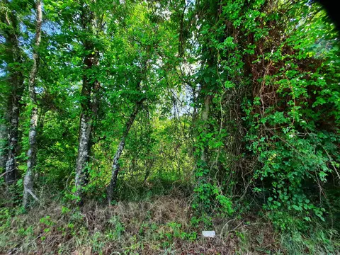 000 Warren St, Mountain View, AR 72560 photo 4