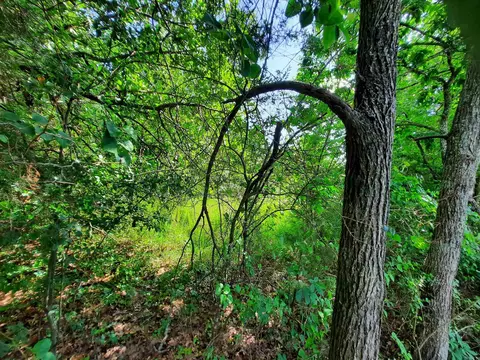 000 Warren St, Mountain View, AR 72560 photo 2