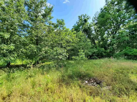 000 Warren St, Mountain View, AR 72560 photo 6