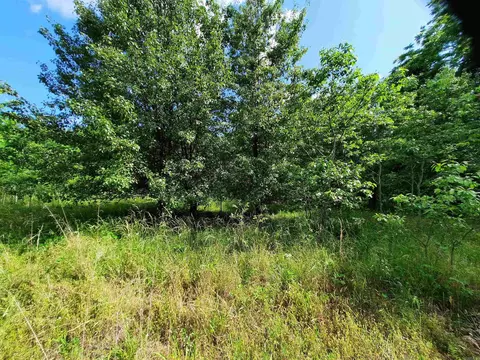 000 Warren St, Mountain View, AR 72560 photo 7
