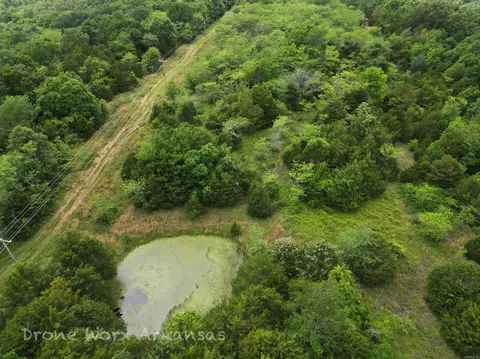 1654 E Hwy 14, Harriet, AR 72639 photo 37