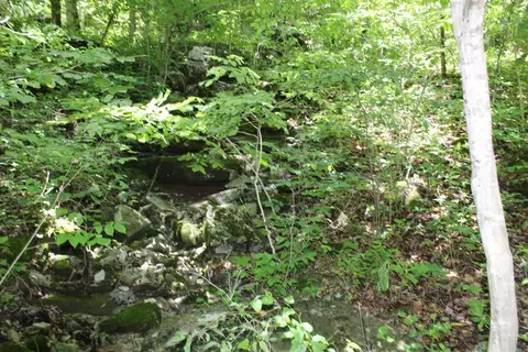 1654 E Hwy 14, Harriet, AR 72639 photo 15