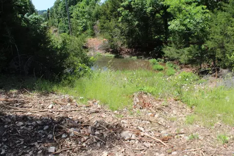 1654 E Hwy 14, Harriet, AR 72639 photo 12