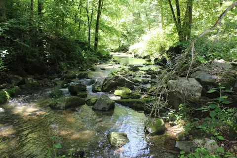 1654 E Hwy 14, Harriet, AR 72639 photo 10